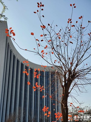 【花花世界】+愛(ài)在深秋