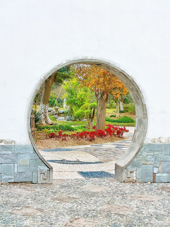 《每周星鮮事》第47期: 星粉體驗(yàn)團(tuán) 等你來(lái)參與