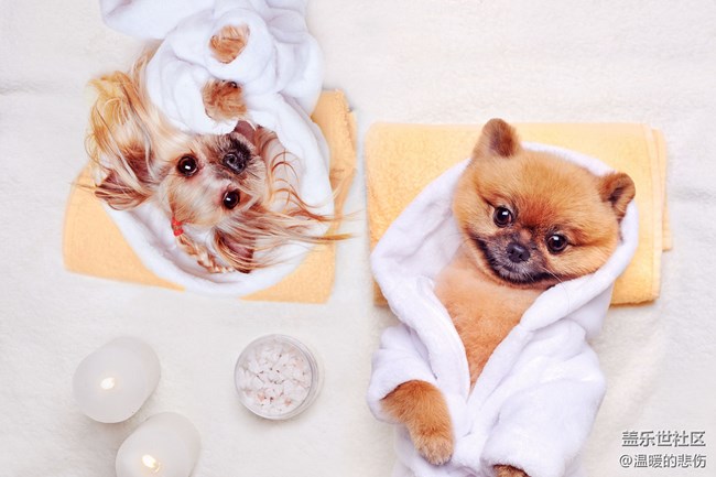 已開獎(jiǎng)【11月寵物活動(dòng)第一期】-雙十一你家寵物的囤貨清單