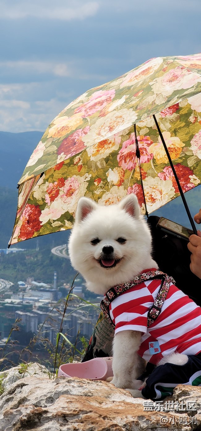 【Galaxy Note20 星粉體驗團】一直被超越，卻從未被超越！