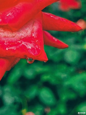 已開獎【蓋樂世形象周賽165期】——色彩