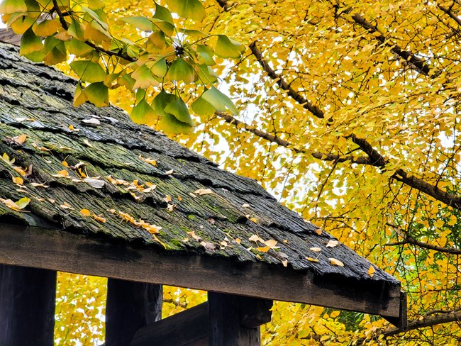 《每周星鮮事》第47期: 星粉體驗(yàn)團(tuán) 等你來(lái)參與