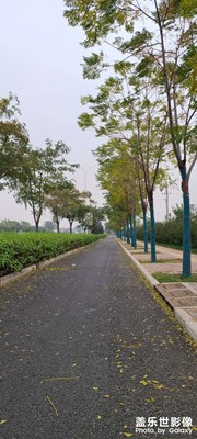 秋風落葉??????掃