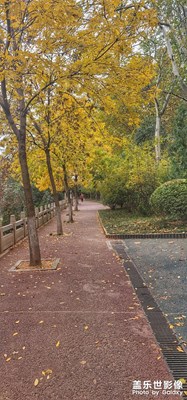 路過的秋天