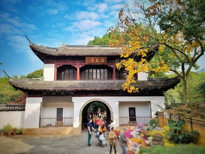 【身邊的美好】+菊花展