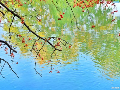 【隨手記錄美】