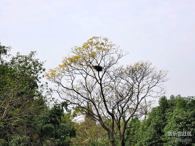 【Galaxy Note20星粉體驗(yàn)團(tuán)】與Note系列的第一次親密體驗(yàn) 【Galaxy Note20星粉體驗(yàn)團(tuán)】與Note系列的第一次親密體驗(yàn)