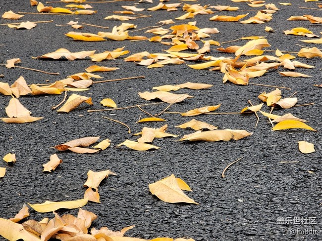 【Galaxy Note20星粉體驗(yàn)團(tuán)】與Note系列的第一次親密體驗(yàn) 【Galaxy Note20星粉體驗(yàn)團(tuán)】與Note系列的第一次親密體驗(yàn)