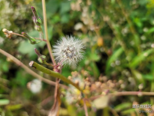 【Galaxy Note20星粉體驗(yàn)團(tuán)】與Note系列的第一次親密體驗(yàn) 【Galaxy Note20星粉體驗(yàn)團(tuán)】與Note系列的第一次親密體驗(yàn)