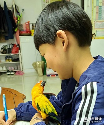 小把戲