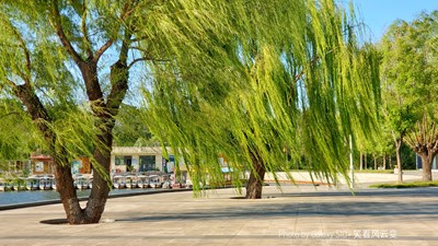 Galaxy S10+ 【麗日驕陽】