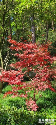 白花湖