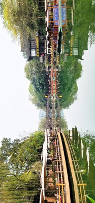 專業(yè)打卡黃龍溪