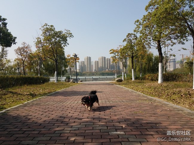 秋之陶沖湖公園