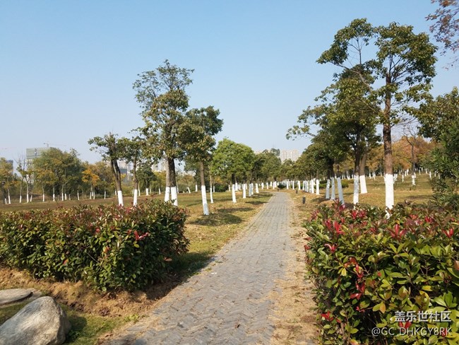 秋之陶沖湖公園