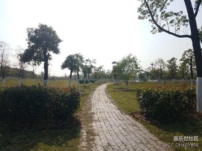 秋之陶沖湖公園