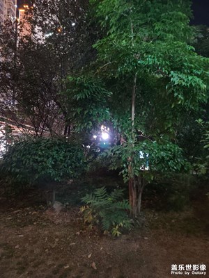 夜燈