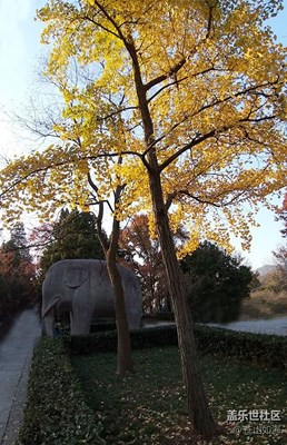 [色彩]——金陵秋色