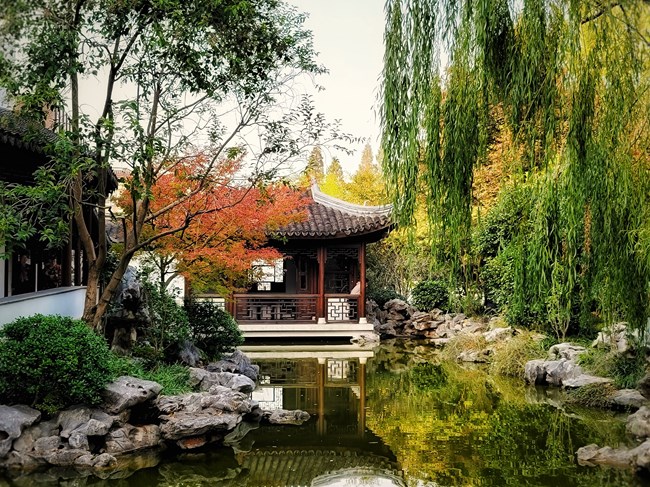 《每周星鮮事》 第49期