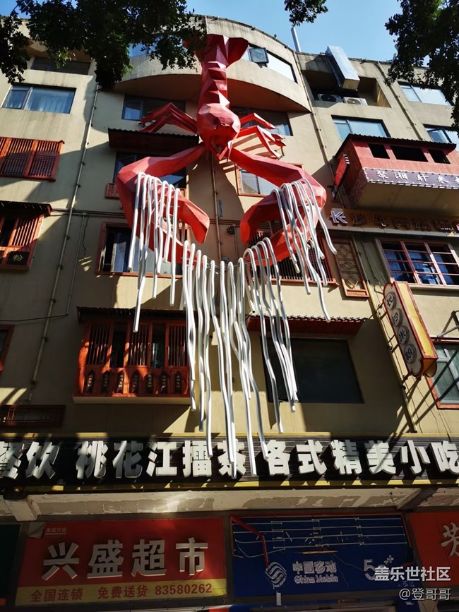 【美食活動(dòng)第五十六期】- 嗦粉！嗦粉