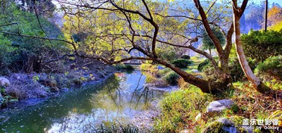 【色彩】井岡山初冬
