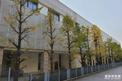 逛公園