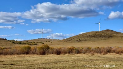 Galaxy S10+ 壩上風光之草原尋夢