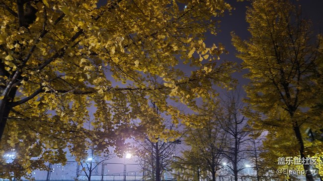 Galaxy S20 FE 5G 夜間模式: 來(lái), 讓我照亮你的黑夜