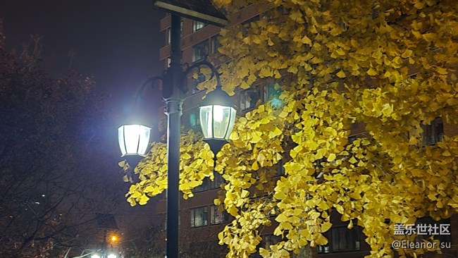 Galaxy S20 FE 5G 夜間模式: 來(lái), 讓我照亮你的黑夜