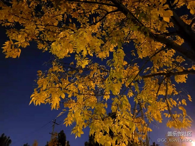 【Galaxy S20 FE星粉體驗(yàn)團(tuán)】+星粉機(jī)測(cè)評(píng)