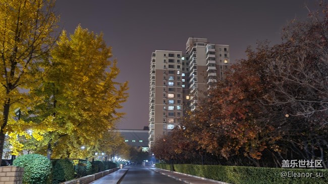 Galaxy S20 FE 5G 夜間模式: 來(lái), 讓我照亮你的黑夜