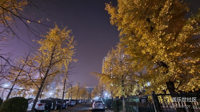 Galaxy S20 FE 5G 夜間模式: 來(lái), 讓我照亮你的黑夜