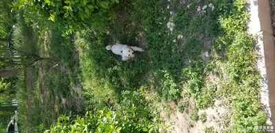 【色彩】漸變風景