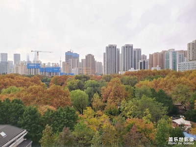 和平公園的秋色真不錯(cuò)！