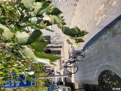 【色彩】花花世界