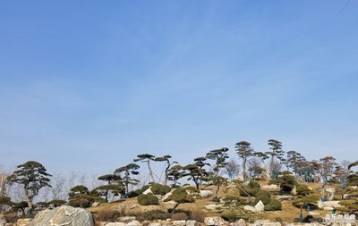 【色彩】藍(lán)天白云