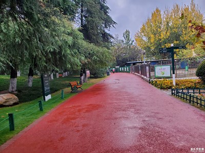 【精彩定格】深秋公園