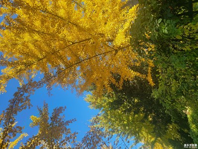 【色彩】秋的顏色