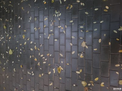 【色彩】生活中的色彩