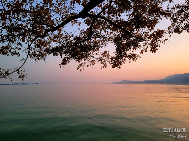 【Galaxy S20 FE星粉體驗團】顏值即正義的性能小鋼炮！