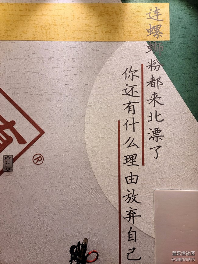 【嗦粉，嗦粉！】水平有限螺螄粉