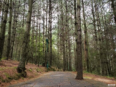 【精彩定格】+山林