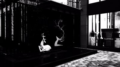 【精彩定格】+黑白影調(diào)