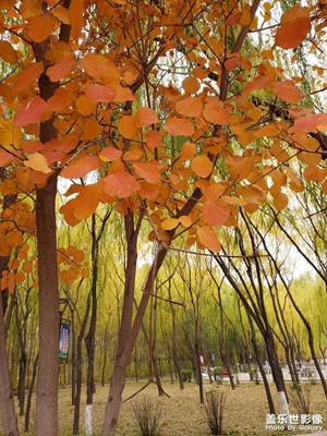 公園隨手