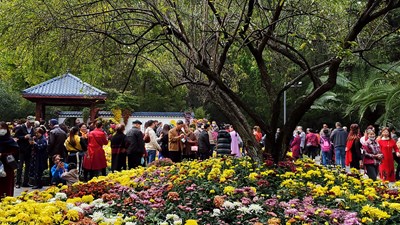 【精彩定格】+初冬暖陽(yáng)下