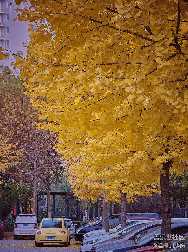 《每周星鮮事》 第49期