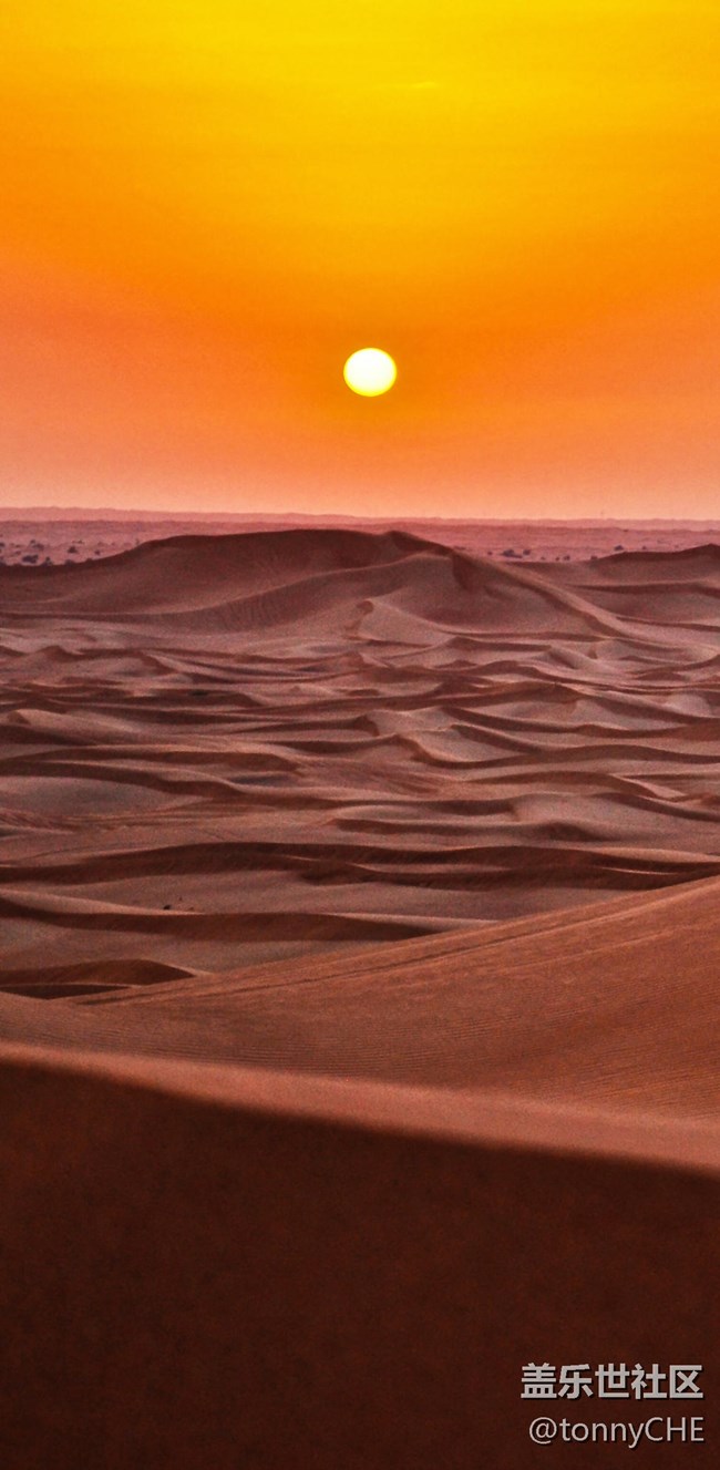 比FOLD2多了張卡