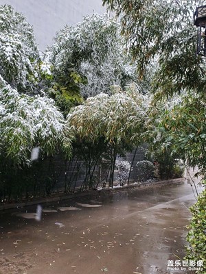 2020年第一場雪