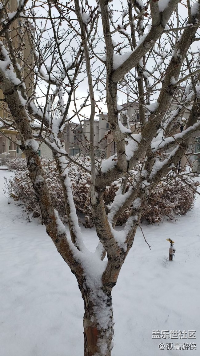 已開獎(jiǎng)A板塊十一月第四期板塊活動(dòng)—玩轉(zhuǎn)拍照