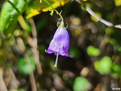 【精彩定格】+發(fā)現(xiàn)